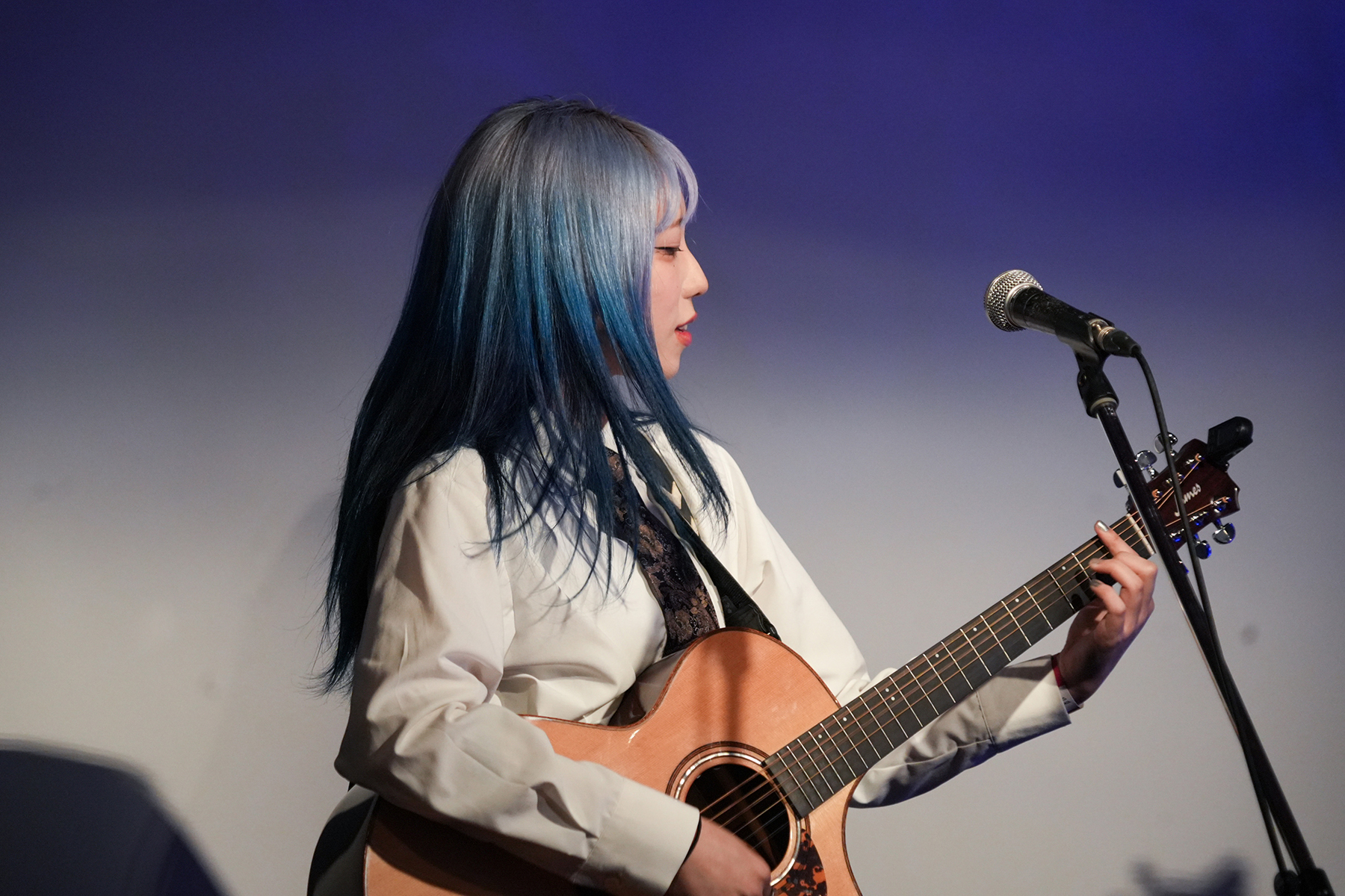 写真｜2025.11 DISCOVERY FESTIVAL 2025 WINTER ライブ撮影