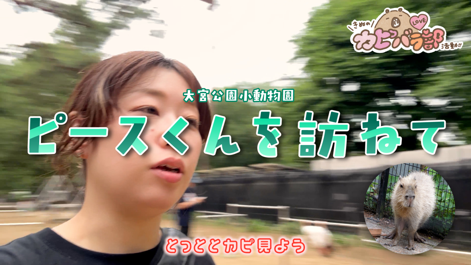 サムネイル｜2025.7 大宮公園小動物園回