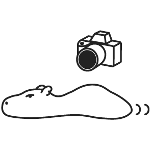 skill_photo