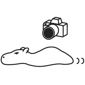 skill_photo